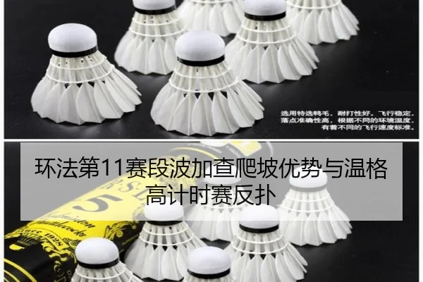 环法第11赛段波加查爬坡优势与温格高计时赛反扑