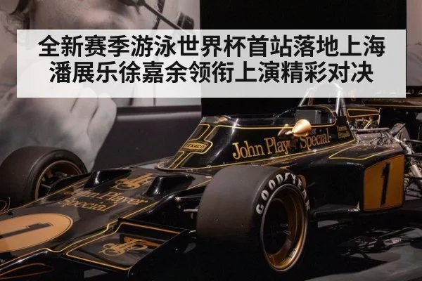 全新赛季游泳世界杯首站落地上海 潘展乐徐嘉余领衔上演精彩对决